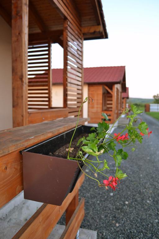 Вилла Casute De Vacanta - Complex Ben Окна-Сибьюлуй Экстерьер фото